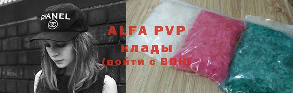 ECSTASY Алзамай