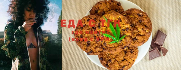ECSTASY Алзамай
