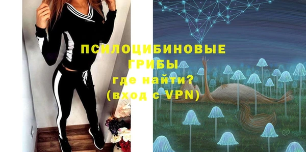 ECSTASY Алзамай